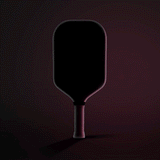 JOOLA Tyson McGuffin Magnus Pro IV 14mm Pickleball Paddle
